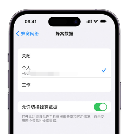 望牛墩镇苹果维修服务分享如何在iPhone上使用双卡 